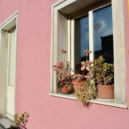 Il Giardino Delle Zagare - Miniappartamento Tra Etna E Mare Apartment